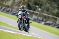 Oulton-Park-21st-March-2020;PJ-Motorsport-Photography-2020;anglesey;brands-hatch;cadwell-park;croft;donington-park;enduro-digital-images;event-digital-images;eventdigitalimages;mallory;no-limits;oulton-park;peter-wileman-photography;racing-digital-images;silverstone;snetterton;trackday-digital-images;trackday-photos;vmcc-banbury-run;welsh-2-day-enduro